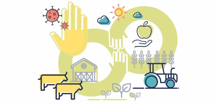 La CSS y Triangular en materia agrícola y de seguridad alimentaria ante la COVID-19