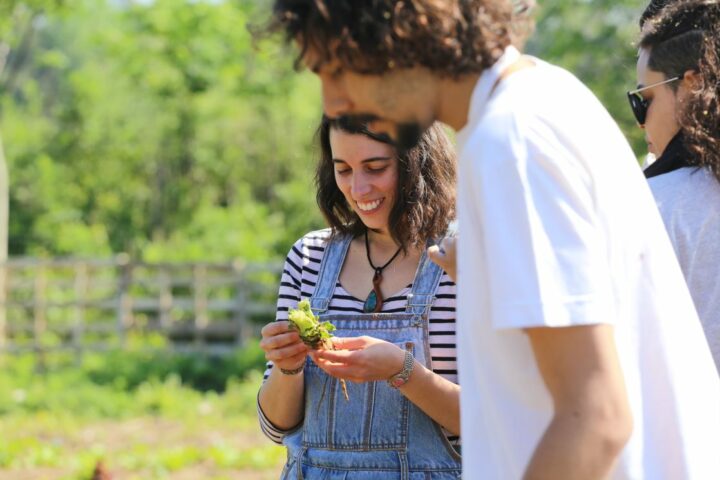 Proyecto CSS Bilateral sobre la quinoa entre Bolivia y Colombia