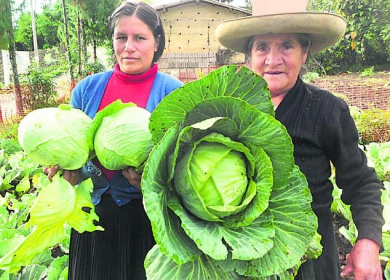 Project "Haku Wiñay/Noa Jayatai - Let's grow" from Peru