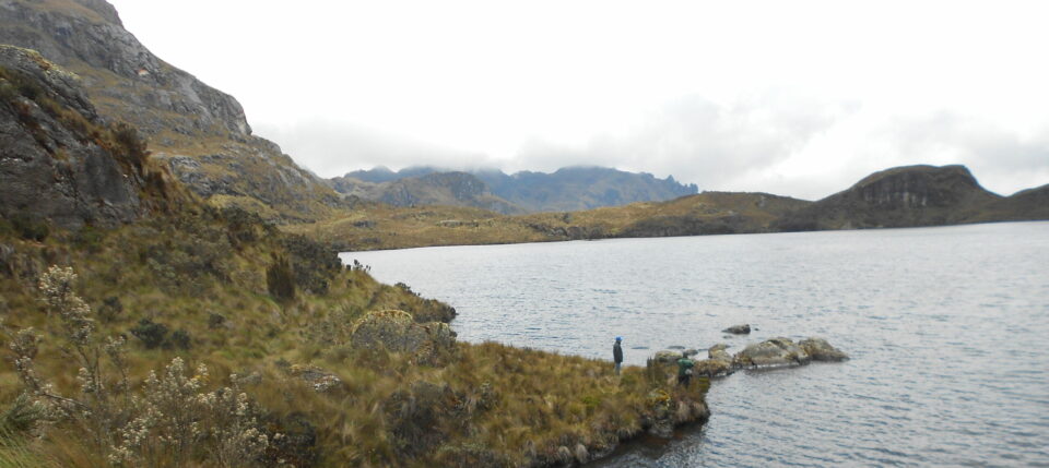 Parque Nacional de Cajas (Ecuador), 2017
